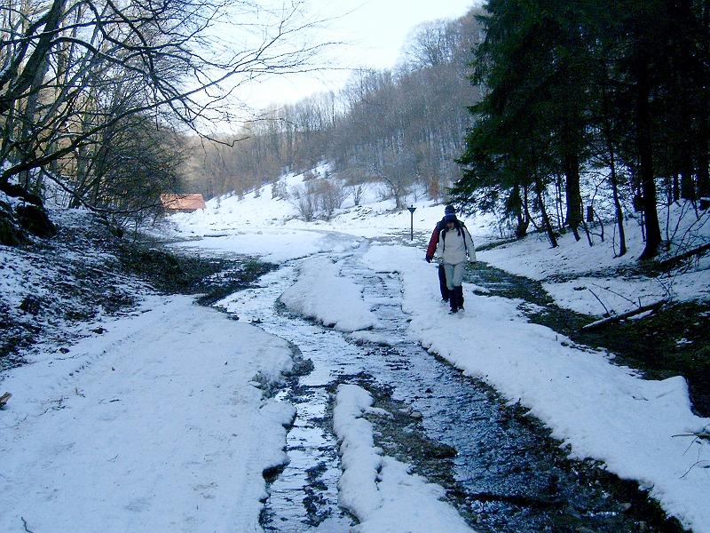 20110122 053.jpg